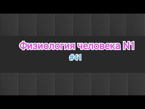 Видео: Физиология.Показатели гемодинамика сосудов. Примеры на артериальной и венозной гиперемии.#41