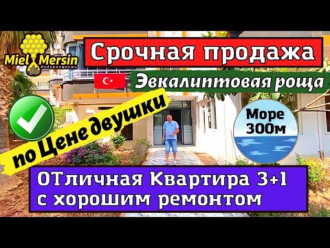 Видео: СРОЧНО ПРОДАЕТСЯ КВАРТИРА 3+1. МЕРСИН НЕДВИЖИМОСТЬ ТУРЦИЯ.  #мерсин #мерсиннедвижимость #турция
