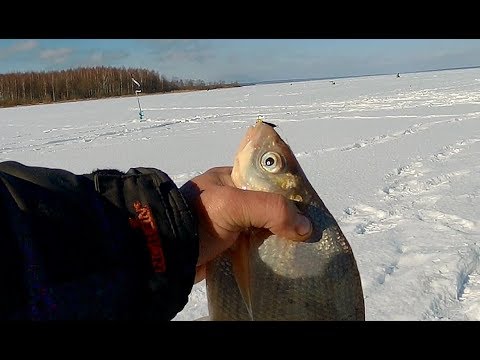 Видео: Утренний сумасшедший клёв.Зимняя рыбалка на Рузском ВДХ , с ночёвкой.