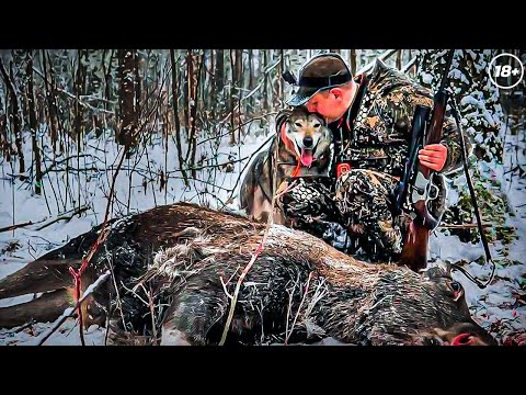 Видео: Олигархи долбят ЛОСЕЙ в Заповедном Охотхозяйстве