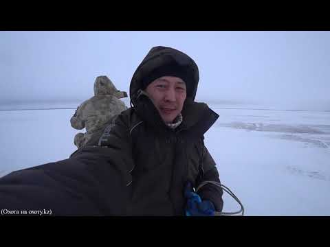 Видео: НЕОЖИДАННЫЙ КЛЁВ на Рождество! Зимняя рыбалка на поплавок на Вячеславском водохранилище.