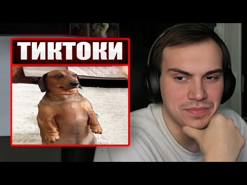 Видео: ГЛЕБ СМОТРИТ ТИКТОКИ ОТ ЗРИТЕЛЕЙ #30 | Sasavot