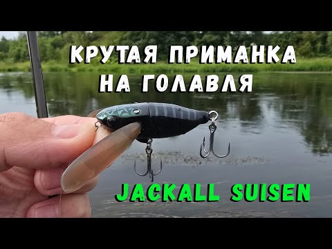 Видео: Крутая приманка на голавля