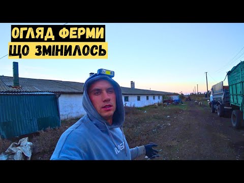 Видео: Поросята втекли з клітки ❗❗ Що змінилось на фермі❓ Враження роботою кормозмішувача✅