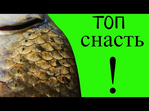Видео: СНАСТЬ  - О КОТОРОЙ НЕ ЗНАЮТ !