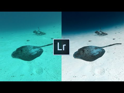Видео: Как редактировать подводные фотографии как профессионал