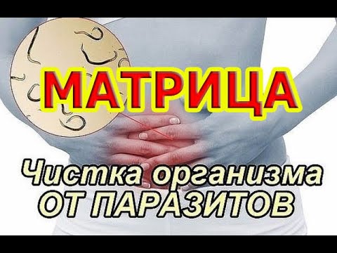 Видео: Матрица Очищение От Паразитов  Физических И Ментальных