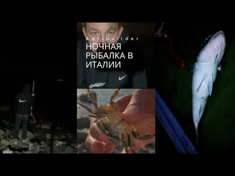 Видео: Ночная рыбалка в Италии на донку - 🇮🇹🌊 Как я рыбачу ночью на Средиземном море - Ловля с берега