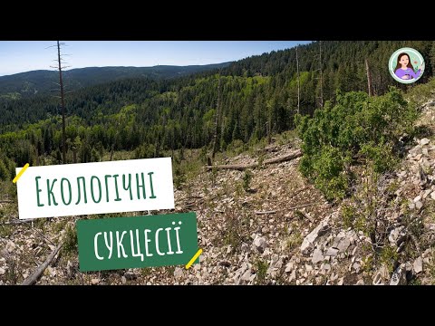 Видео: Сукцесії. Причини сукцесій, їхні типи. Закономірності сукцесій