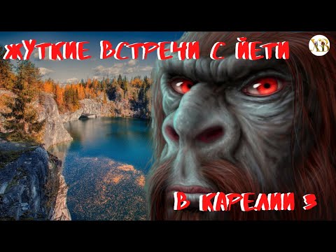 Видео: Жуткие встречи с Йети в Карелии 3.