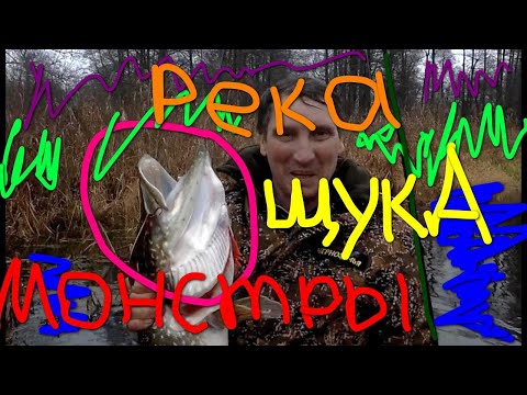 Видео: Рыбалка. Монстры малых рек. Осень. Спиннинг. Джиг