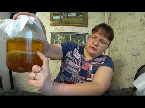 Видео: Чайный гриб. Ответы на часто задаваемые вопросы. Часть 3