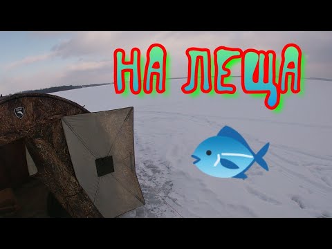 Видео: Зимняя ловля леща в палатке