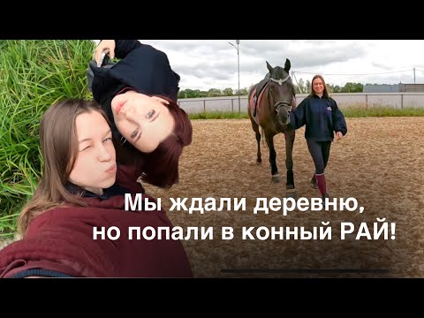 Видео: Провинциальный клуб против Москвы: Где лучше? ШОК ОТ КОННОГО КЛУБА В ГЛУШИ!