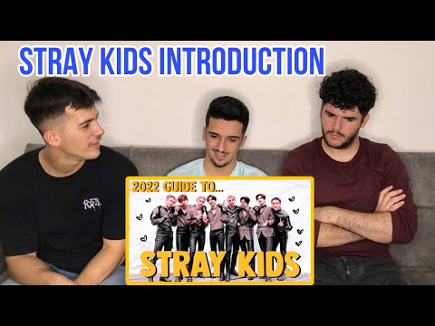 Видео: Реакция FNF на руководство по STRAY KIDS за 2022 год | ВВЕДЕНИЕ В STRAY KIDS