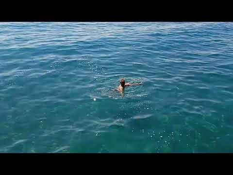 Видео: Самое прекрасное озеро-Иссык-Куль