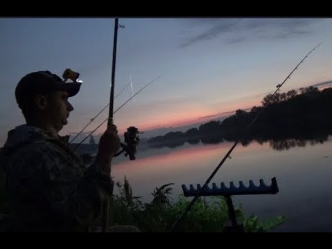 Видео: Пенопласт против опарыша. Лещ на донки ночью.