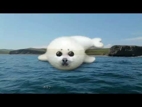 Видео: Путешествие по Приморью! 7 дней море и тайга