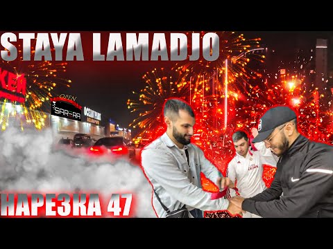 Видео: STAYA LAMADJO НАРЕЗКА 47 | ИСТОРИЯ АДАМА | ОТКРЫТИЕ SARERA