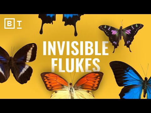 Видео: Всё происходит НЕ просто так | Брайан Клаас