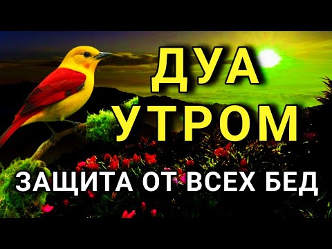 Видео: 🔑 СИЛЬНЕЙШЕЕ ДУА УТРОМ ОТ ВСЕХ БЕД 🤲🌹🌈