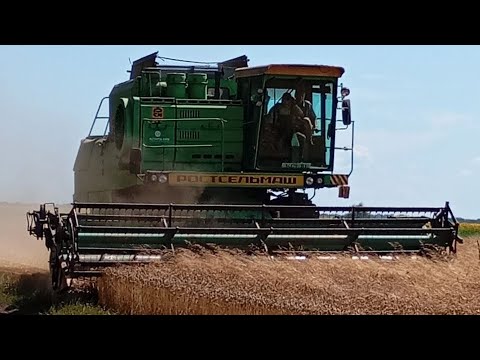 Видео: 2025 Збираємо 🌾РЖТ Реформ, яка вимерзла🥶➕➖👍Дон-1500С