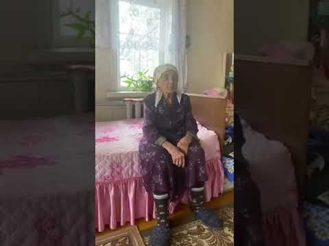 Видео: Хиффә әбинең агачында,нинди генә кошлар юк🦜🦉🐧