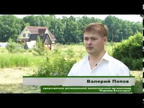 Видео: Репортаж Белгородского ТВ о фестивале Звенящие кедры 2014 (11.06.2014)