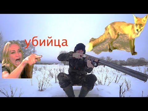 Видео: Охота на лису из засидки! Зоошиза атакует!