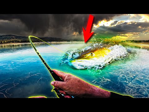 Видео: Разбих ги с МНОГОФУНКЦИОАНАЛЕН воблер!  Риболов на щука на язовир Сопот.