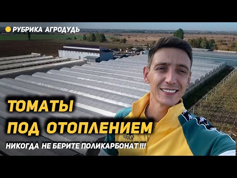 Видео: Воронеж - томаты под отоплением. Сколько лет живет пленка Светлица?