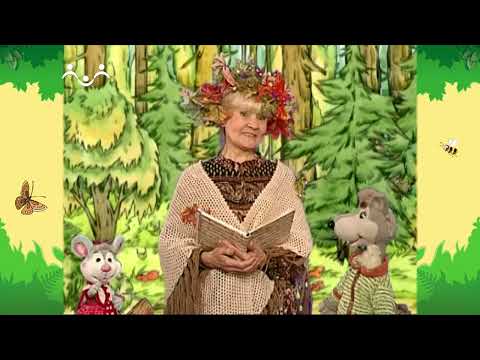 Видео: День в Шишкином Лесу. Загадкино. Осень