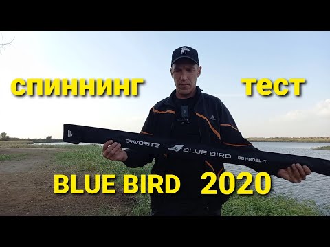 Видео: Спиннинг BLUE BIRD 2020.Ловля окуня на спиннинг.