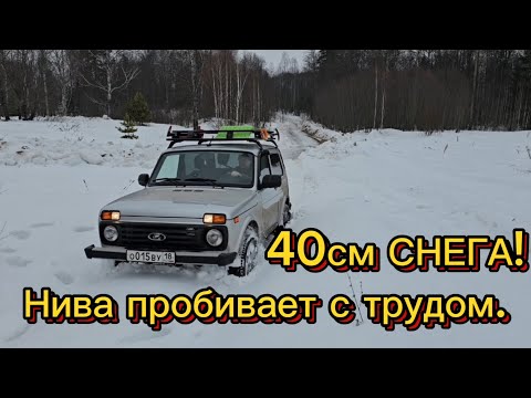 Видео: Нива с трудом пробивает  мокрую снежную целину. Поедем на снегоходе!