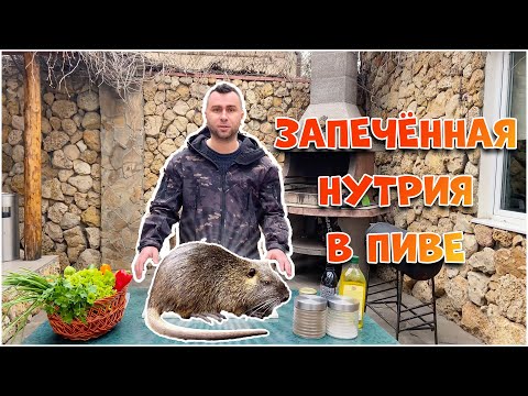 Видео: КАК ВКУСНО ПРИГОТОВИТЬ НУТРИЮ. ЗАПЕЧЁННАЯ НУТРИЯ В ПИВЕ