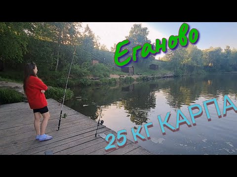 Видео: Платная рыбалка в Подмосковье. Еганово. Поймали много карпа . Отдых с женой за городом