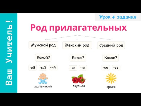 Видео: Род имен прилагательных. Как определить род прилагательного?