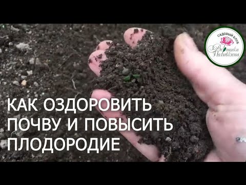 Видео: Как оживить и оздоровить почву природными средствами