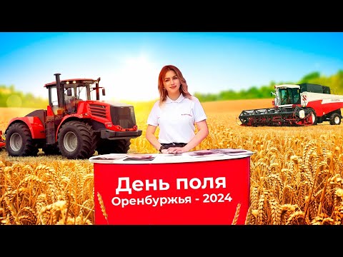 Видео: День поля Оренбуржья 2024