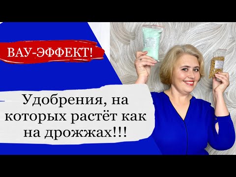 Видео: УДОБРЕНИЯ, использование которых позволяет нам вырастить такие шикарные цветы