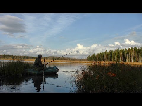 Видео: Осенняя рыбалка на озере #448