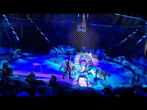 Видео: Circus Russian in  Moscow «Эпицентр Мира» 07.07.2018