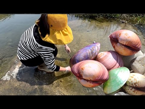 Видео: Древняя река после наводнения. Немного красивых жемчужных моллюсков