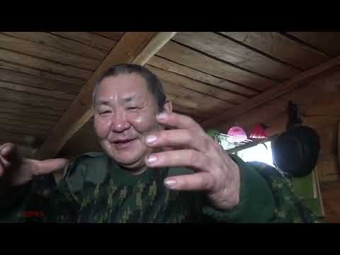 Видео: Тайга и Волчатник: Истории из Мира Охоты