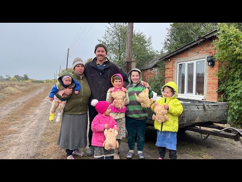 Видео: Продали быка, а купили бройлеров! Еле влезло в морозилку!