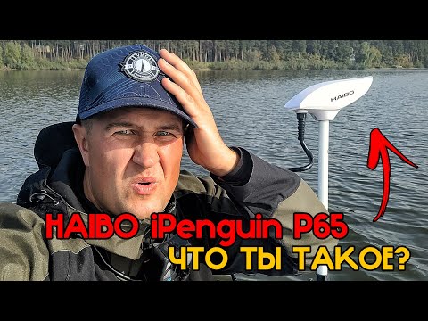 Видео: Что с ним? Хитрости, Настройки и Особенности работы - Haibo iPenguin P65 настройка