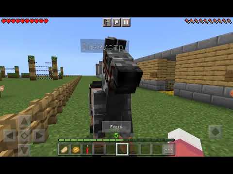 Видео: День на КСК Лошадь мечты//Начинаю рубрику старые КСК 💜