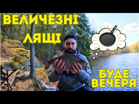 Видео: ЛЯЩІ як ЛОПАТИ|Як ловити ЛЯЩІВ ВЕСНОЮ? ТРОФЕЙНИЙ ЛЯЩ