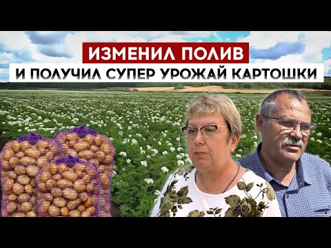 Видео: Изменил полив и получил супер урожай картошки