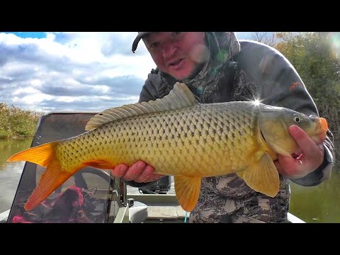 Видео: ОХ! САЗАН, КАРАСЬ, СУДАК, ЩУКА!!! ПОЙМАЛ ВСЁ!!! Осенняя рыбалка на донки и спиннинг.